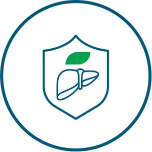 Detox & Liver Support