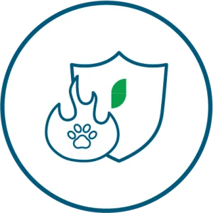 Anti-Inflammatory Support