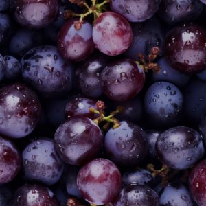 BioVin® Advanced Red Wine Extract with 5% Resveratrol - Grape Extract