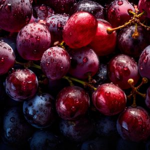 BioVin Full Spectrum Grape Extract, Standardized for Polyphenols