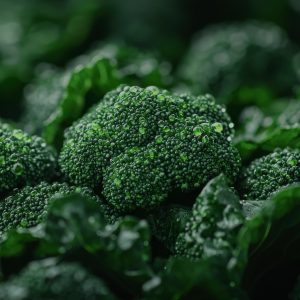 BroccoSinolate Broccoli Extract, Standardized to Glucosinolate