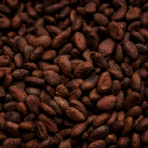 CocoaNol® Cocoa Flavanols Powder, Standardized to 20% Flavanols