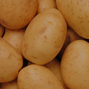 Solathin Potato Protein Proteinase Inhibitor II (PI2)