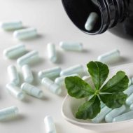 plant-based-nutraceuticals